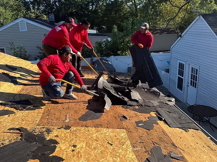 Four workers in red shirts using yellow-handled roof rippers to tear off old asphalt shingles, exposing the wooden deck beneath
