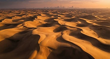 The Arabian Wild