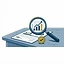 Audit Services