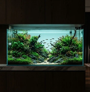 Managed Display