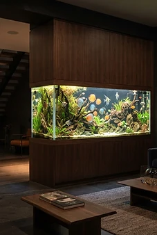 Residential Feature