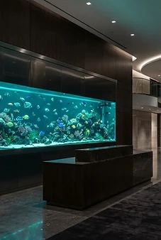 Commercial Reception