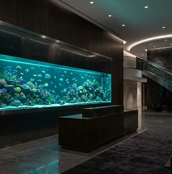 Commercial Reception