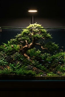 Luxury Planted