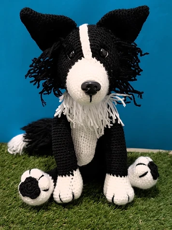 Border Collie