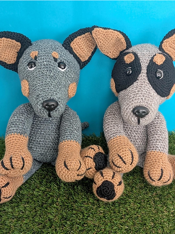 Cattle Dog