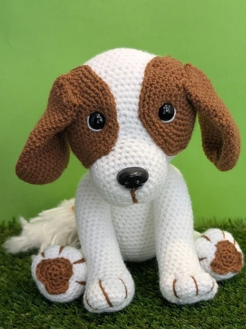 King Charles Cavalier