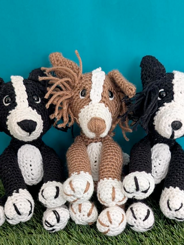 Mini Border Collie