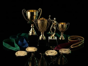 Trofeos personalizados TROFEOSVNG