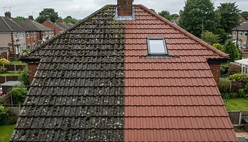 Clean, Coat or Replace?