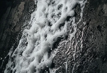 Soft Washing — Low-pressure treatment that kills algae and mildew at the root.