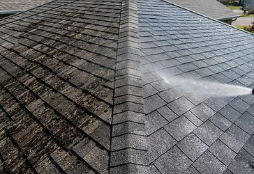 Roof Cleaning — Non-pressure removal of the black streaks that shorten shingle life.