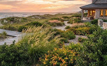 Selecting Salt-Tolerant Plants for Your Topsail Island Landscape Design