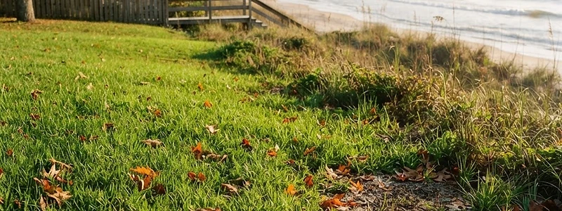 Fall Lawn Care Tips for Coastal NC: Battling Sandy Soil and Salt Air