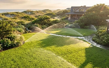 Optimizing Your Irrigation System for Sandy Coastal Soil
