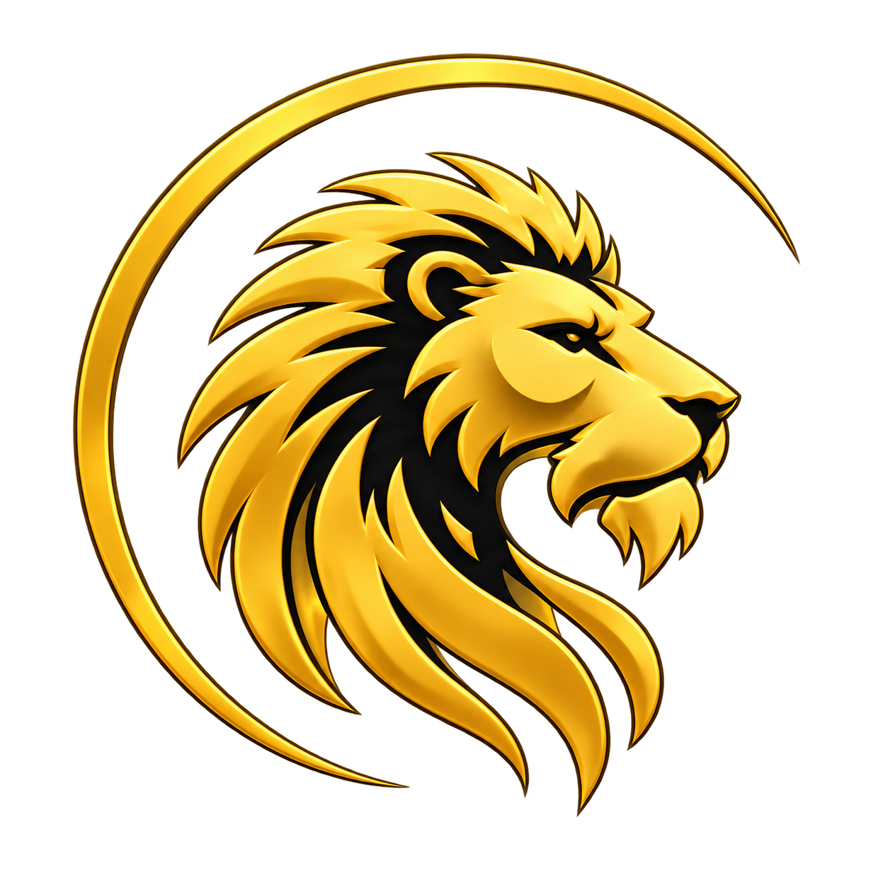 Lion Dream 360