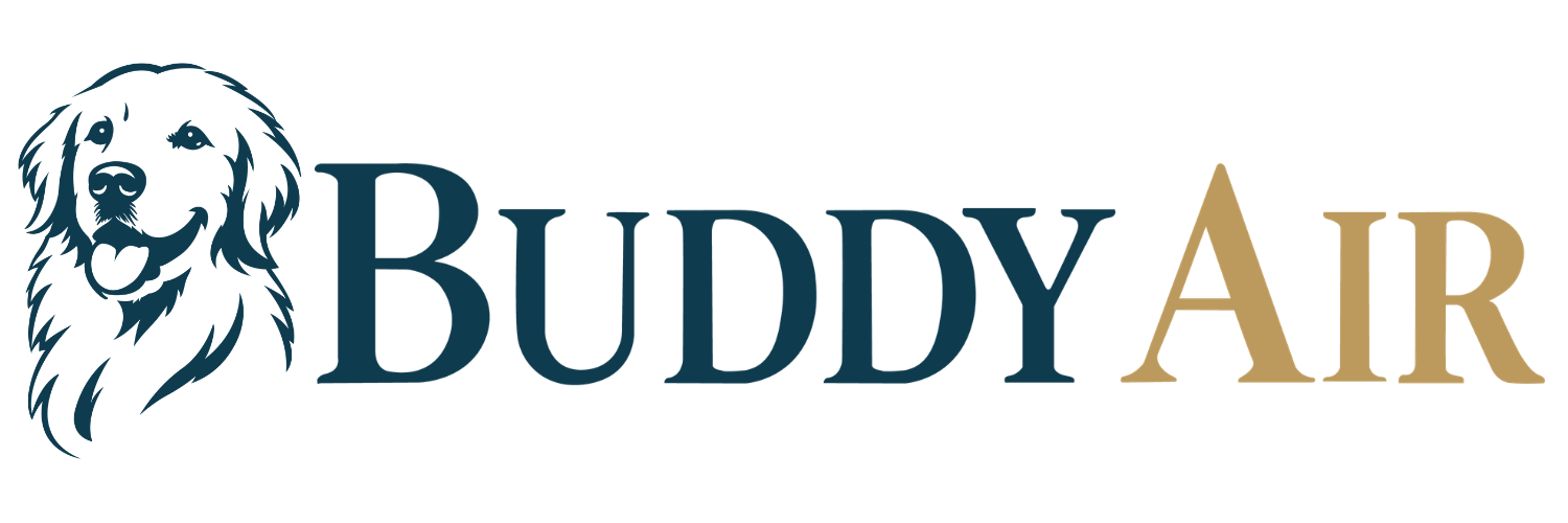 Buddy Air