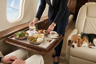 Vegetarian and vegan inflight catering served in a private aircraft cabin