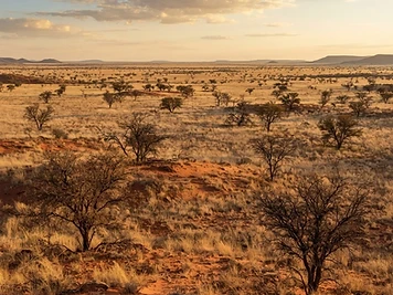 Mokala National Park