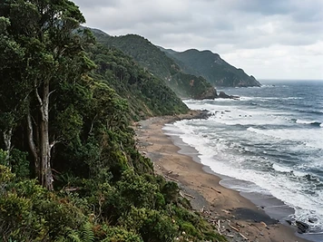 Garden Route National Park
