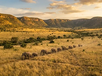 Pilanesberg National Park