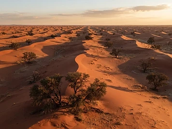 Kgalagadi Transfrontier Park