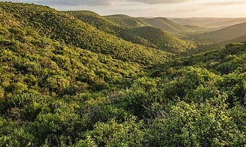 Malaria-Free Safaris