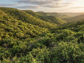 Addo Elephant National Park