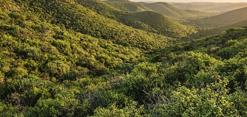Addo Elephant National Park
