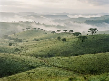 Hluhluwe–iMfolozi Park