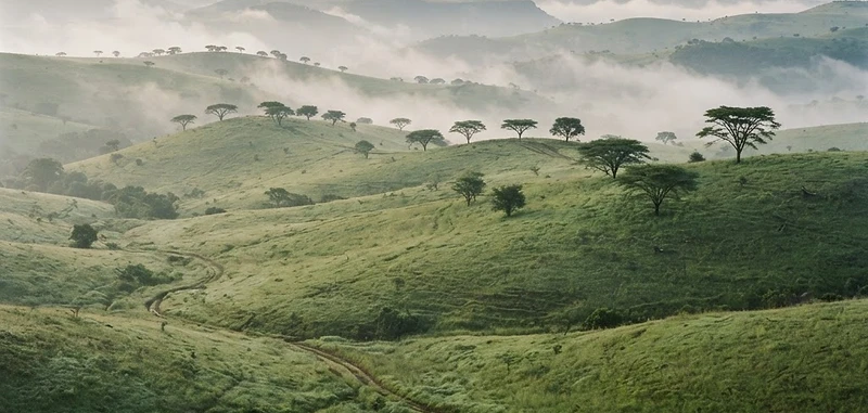 Hluhluwe–iMfolozi Park