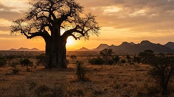 Limpopo