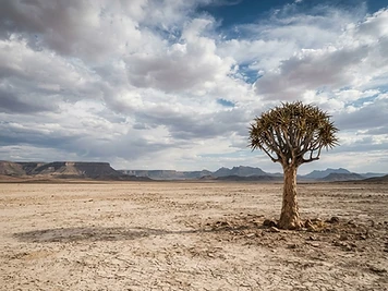 Tankwa Karoo National Park