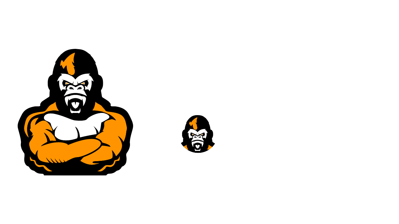 Junk Gorillas junk removal services