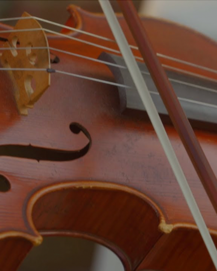 Live Strings for Weddings, Ceremonies & Cocktail Hours