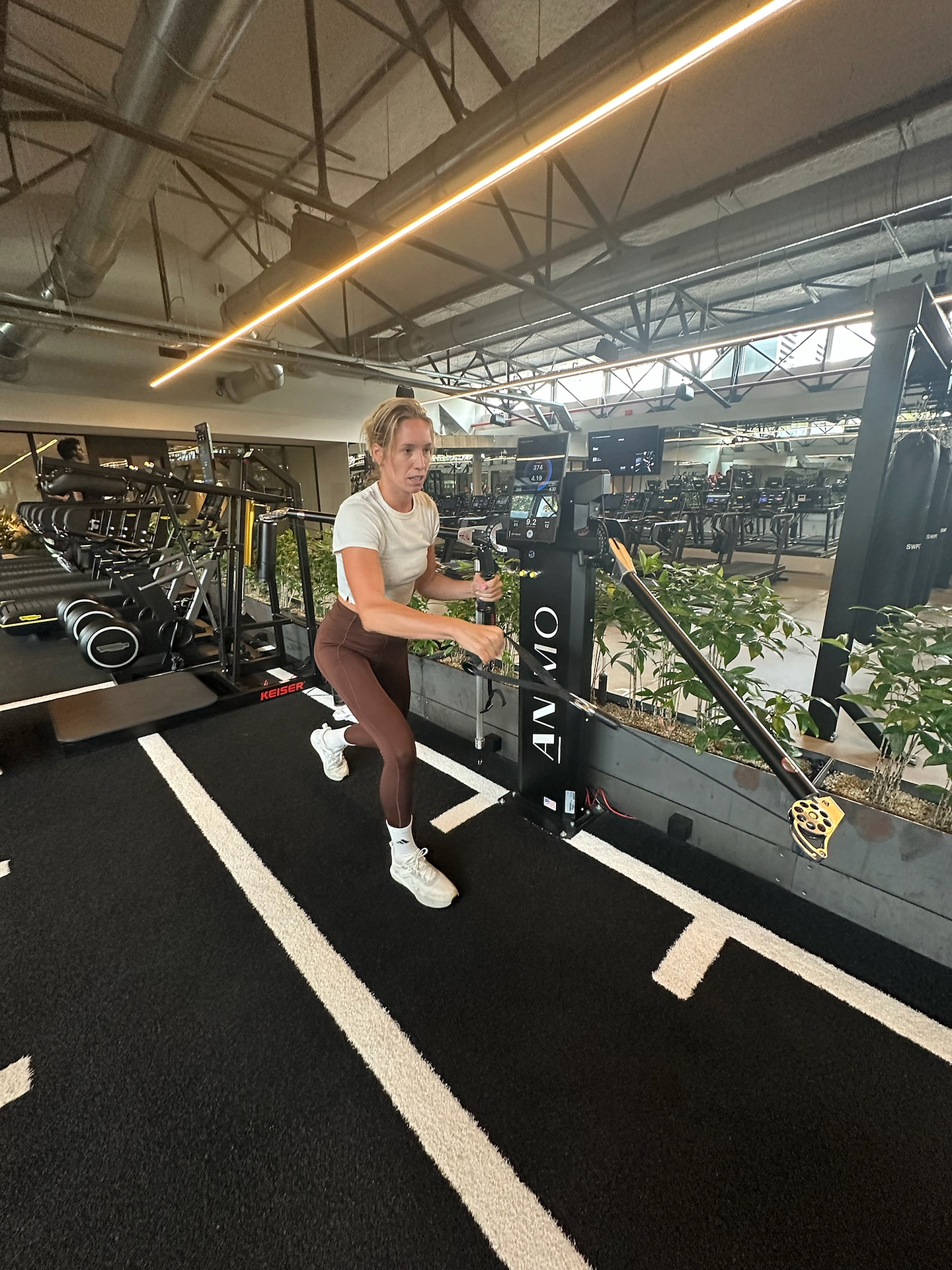 Programming en online workouts bij Prove.U