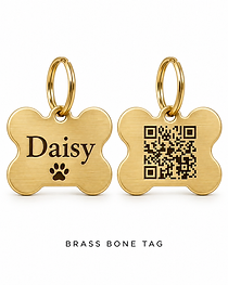 Brass Bone tag — Daisy