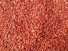 Sesame Seeds