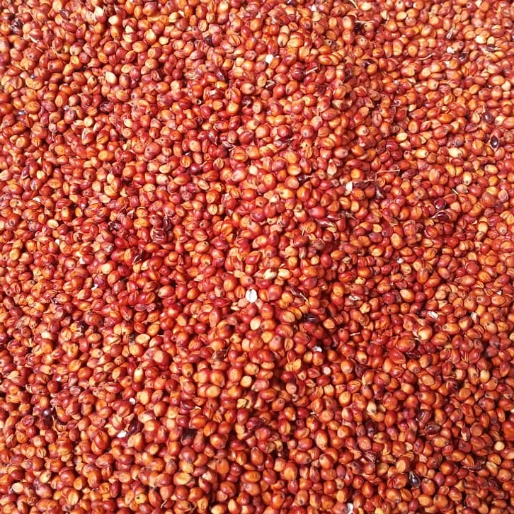Sesame Seeds 1