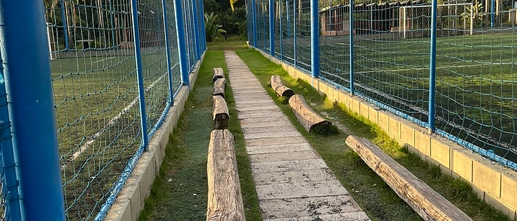 Caminho das Quadras