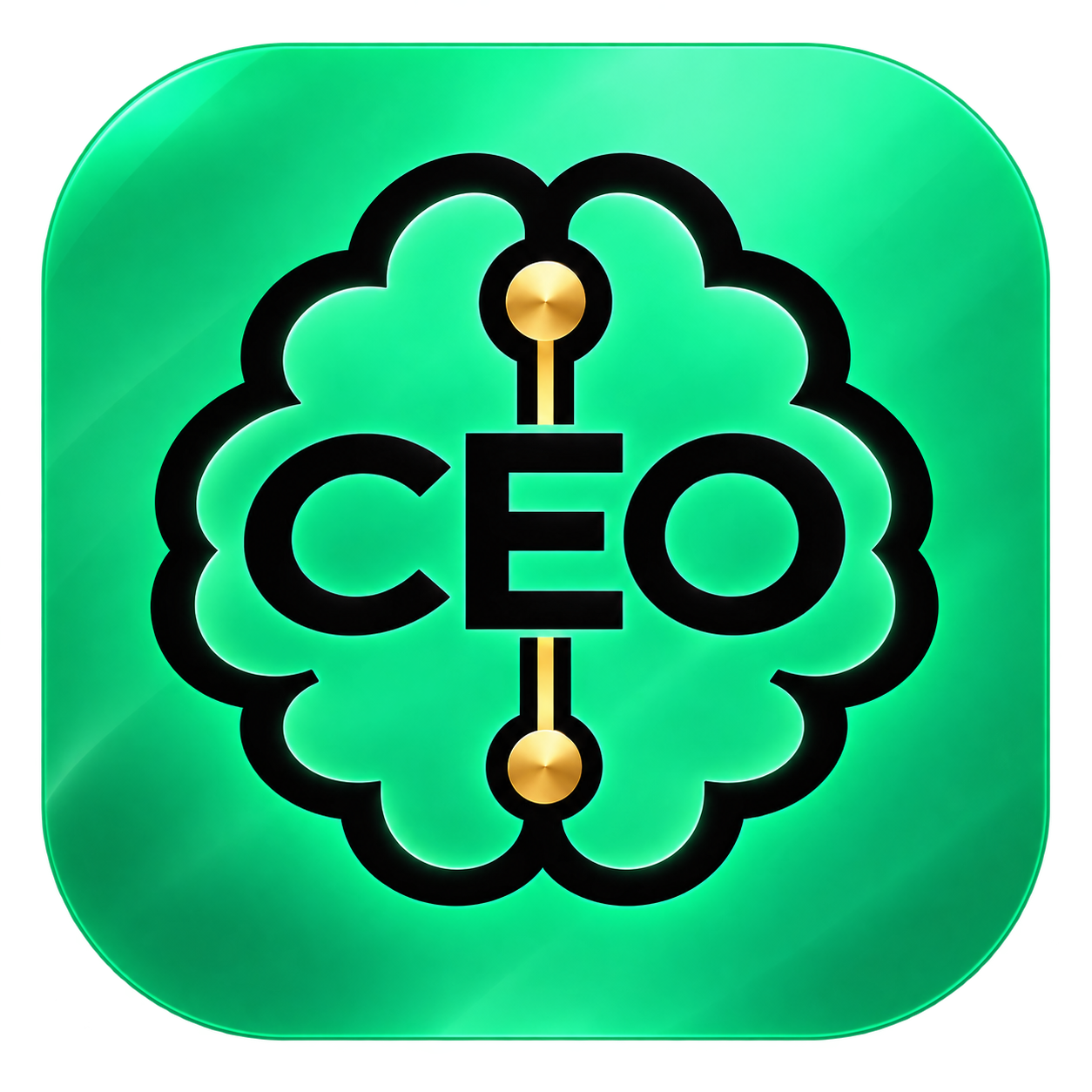 MyCEOmind