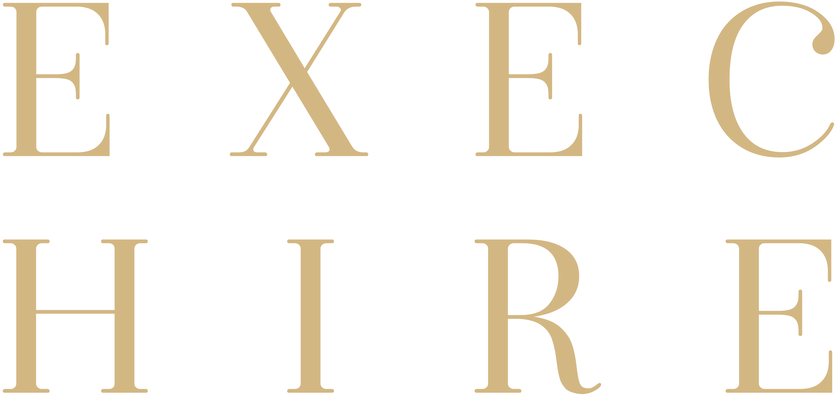 ExecHire