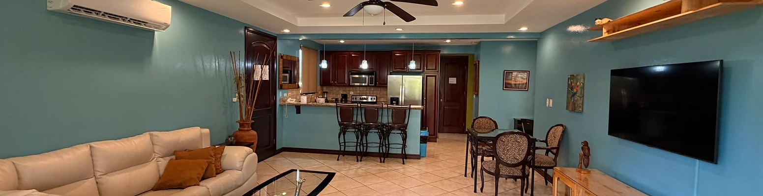 Monte Carlo Condo #19