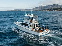 Pacific Blue Sport Fishing photo 1