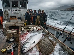 Pacific Blue Sport Fishing photo 2