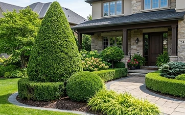 Tree & Shrub Care in Duarte, CA