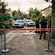דם על הכביש: עד מתי נמשיך להפקיר את חיינו לנהגים דורסניים?