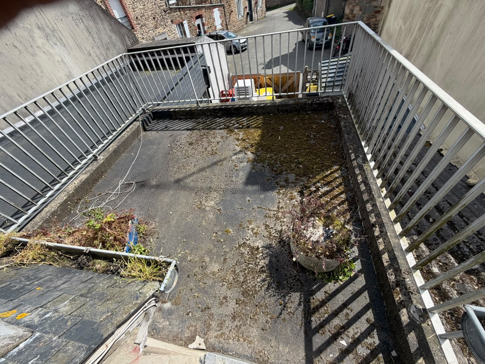 Terrasse toit plat envahie de mousse et de végétation avant travaux d'étanchéité