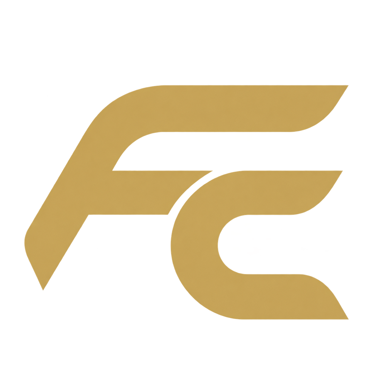 Flux Coach