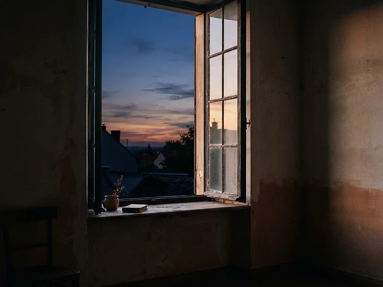 The window thrown open